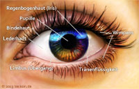 Augenlasern / LASIK