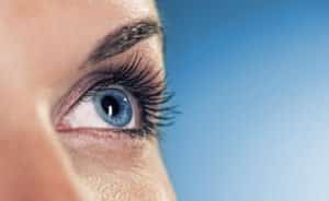 Die Augenlinse und ihre Funktion